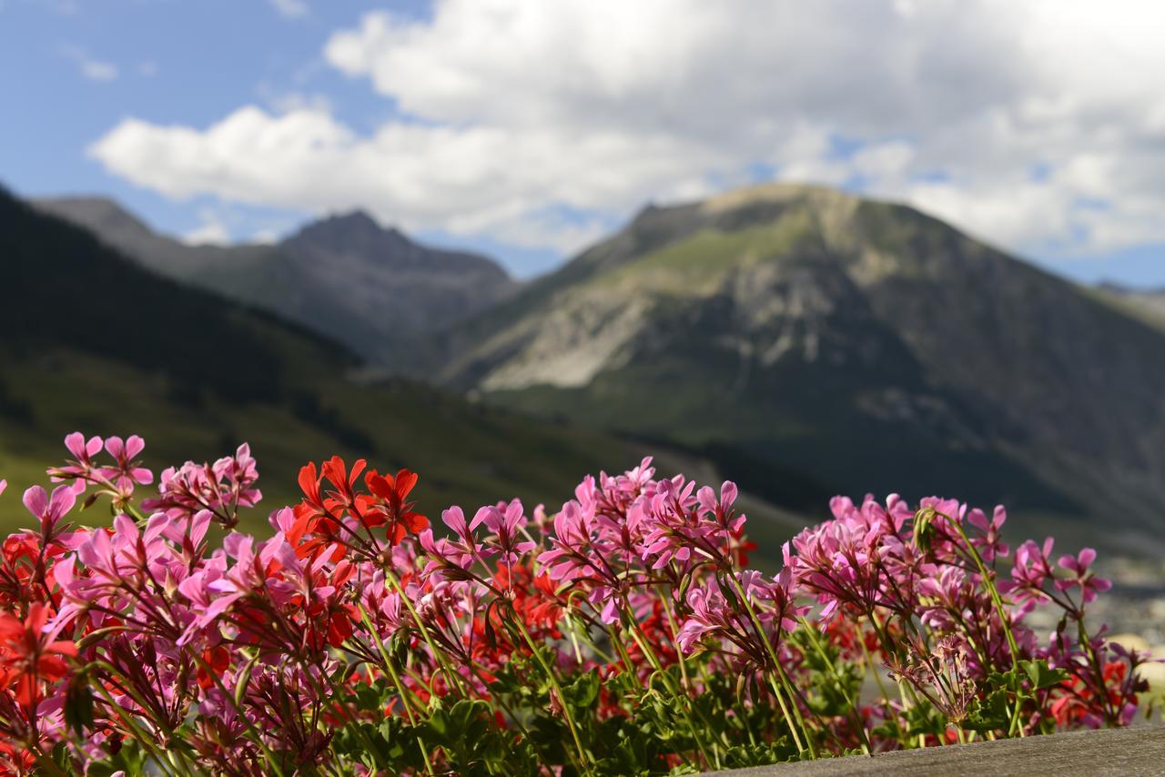 Chalet Garden Livigno Bagian luar foto